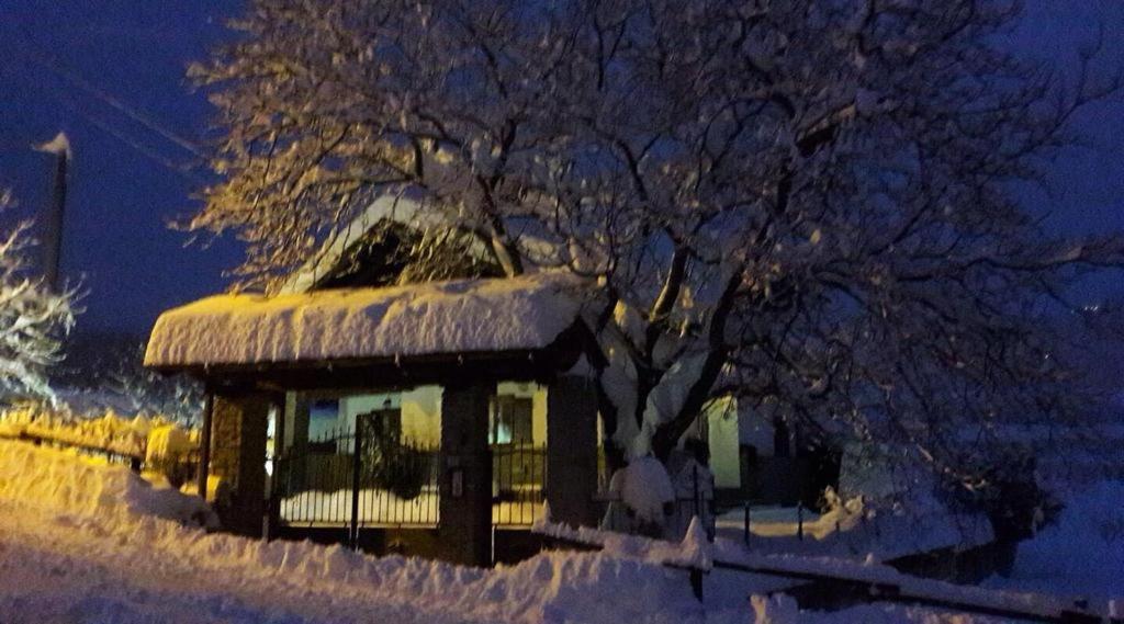 A Casa Da Elide Otel Aymavilles Dış mekan fotoğraf