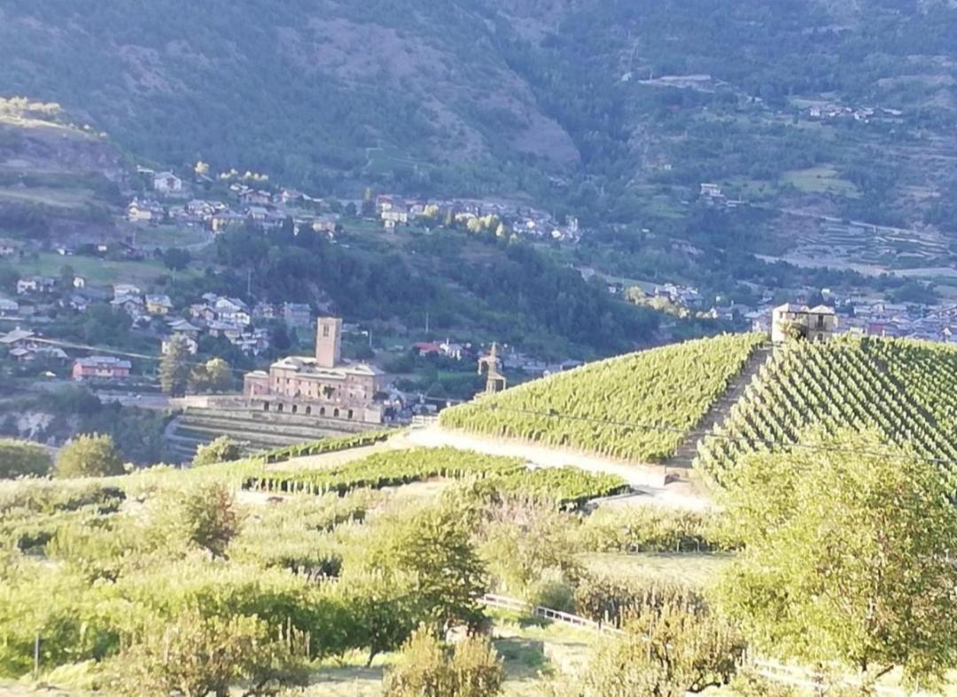 A Casa Da Elide Otel Aymavilles Dış mekan fotoğraf
